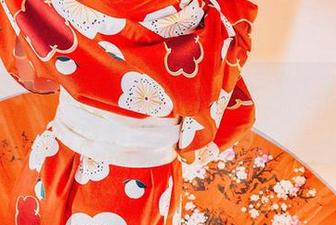 果团网让你悄悄握紧拳头——快来观看这治愈系萌宠合集吧！