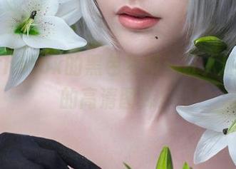 Sayathefox的黑色梦境：让人眼停不下的高清图库！