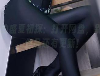 疯猫ss的盛夏初探：打开网盘，别急着走，作品还有更新！
